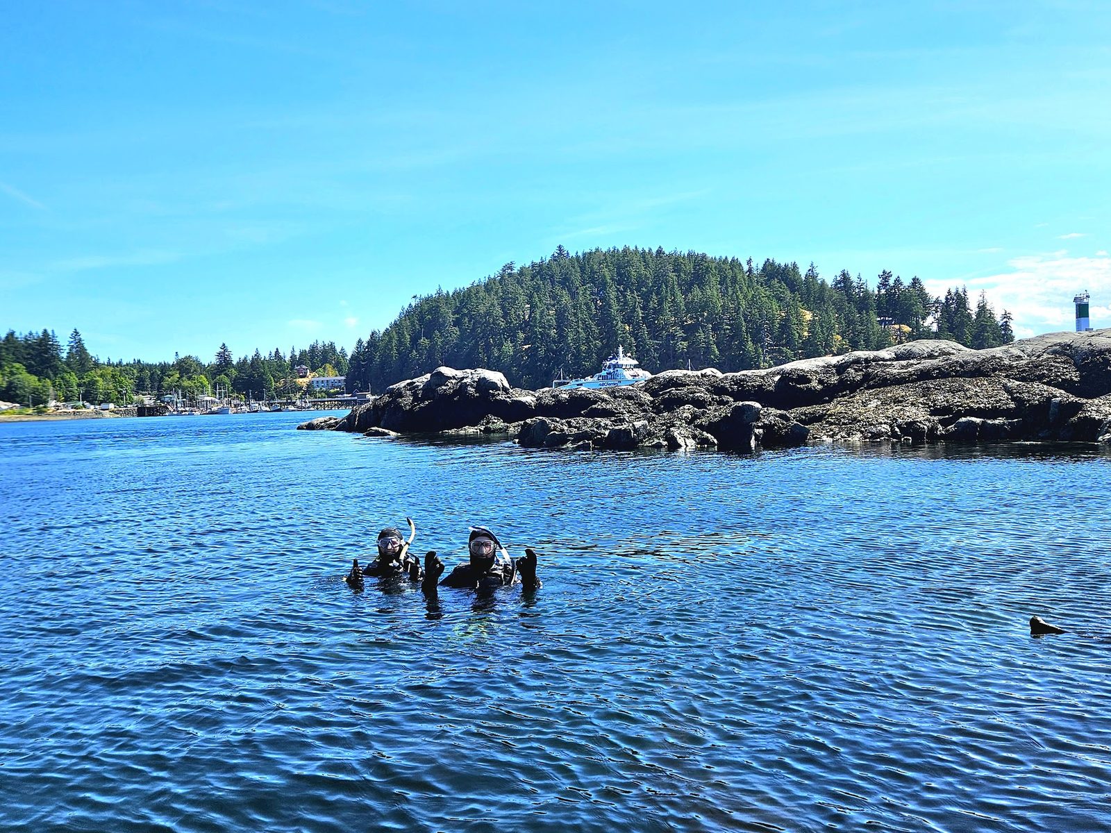 Divers surfacing west of Grouse Island