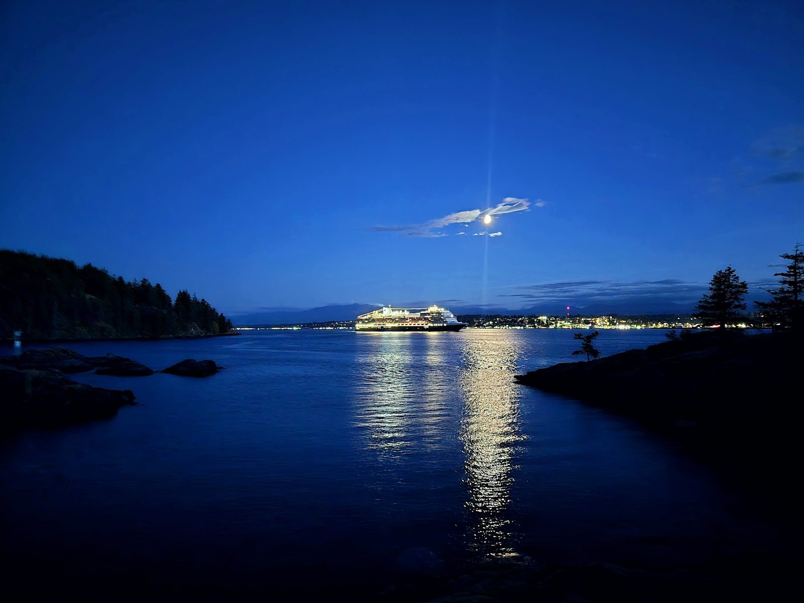 A cruise ship lit up at night, viewed from Grouse Island