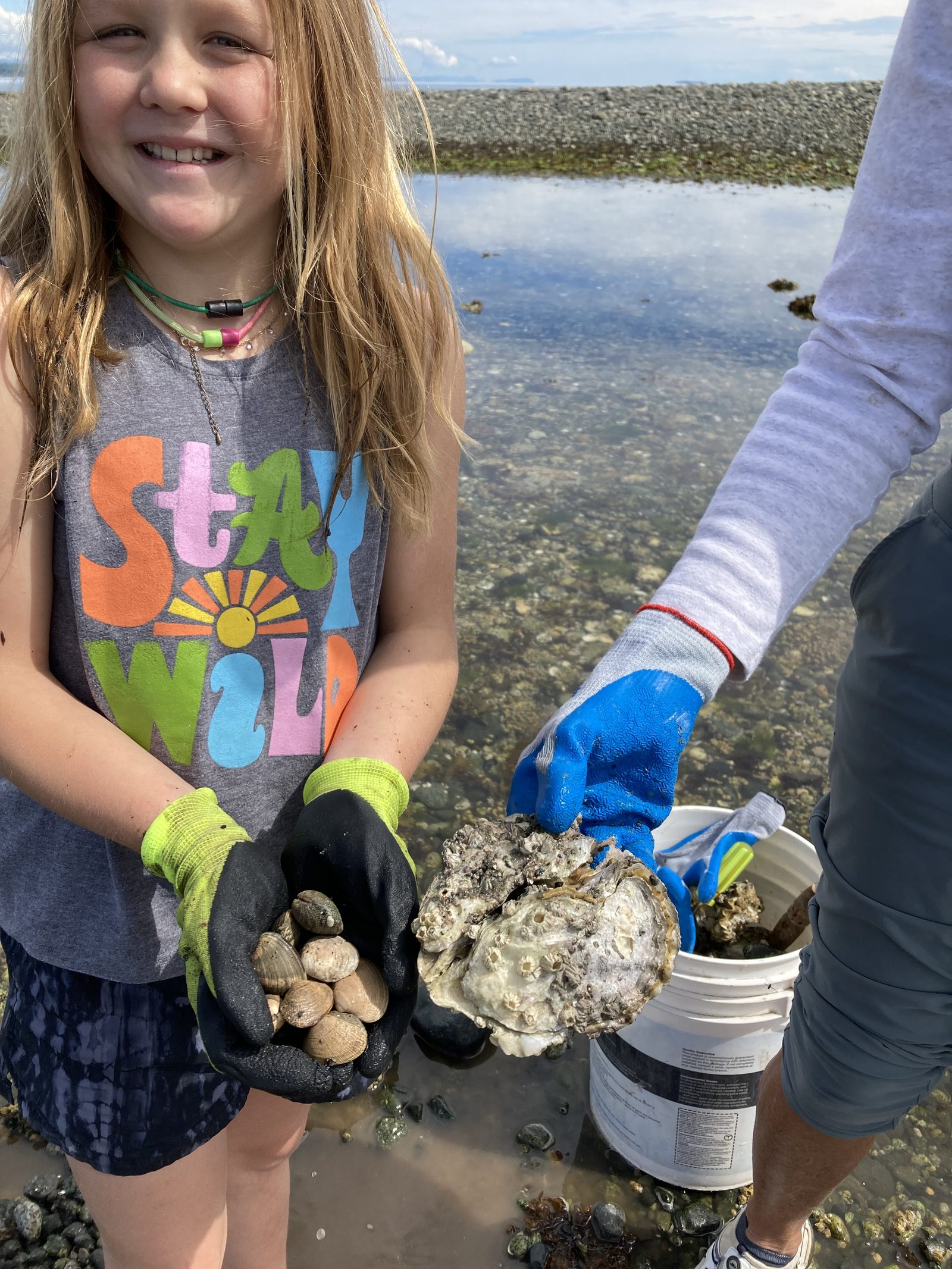 A kid holding a handful of manila clams next to a giant Pacific oyster, at Rebecca Spit