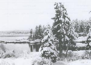 Grouse Island in winter, c. 1905, from the Pidcock home